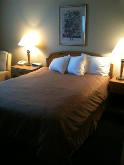 Carol Hotel 오마하 객실 사진